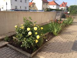 Ingolstadt FeWoHouse & Monteurzimmer: Ansicht
